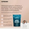 thumbnail image 3 of Suplemento de colágeno marino en polvo CORREXIKO 15 oz - 10,000 mg, 3 of 5