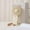 White, variant on Needhep Usb Rechargeable Personal Fan,Bed Fans for Cooling And Sleep, Small Electric Fan With Cord, Cold Air Fan for Bedroom, Box Fan With Remote (White)