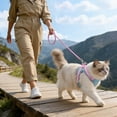 thumbnail image 4 of Escape Proof Cat Harness And Leash Adjustable Soft Mesh Vest With Reflective Strips For Walking, 4 of 4