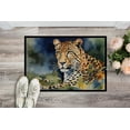 thumbnail image 2 of Leopard Doormat 27 in x 18 in, 2 of 5