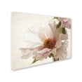 thumbnail image 2 of Trademark Fine Art 'Translucent Peony V' Canvas Art by Debra Van Swearingen, 2 of 3
