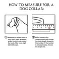 thumbnail image 4 of Pet Collars 14mm Gold Color Dog Chain Collar Choker Stainless Steel Pet Accessories Safety Training Rope, 4 of 5
