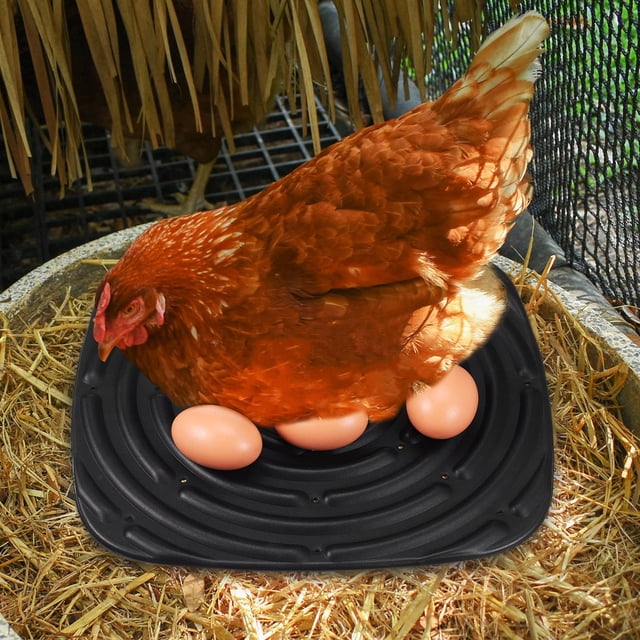 BESTYASH 4Ud Almohadillas Para De Gallinas En Espuma Para Cuidado Avícola Cómodo Y Lavable