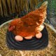 thumbnail image 4 of BESTYASH 4Ud Almohadillas Para De Gallinas Negras De Esponja Y Para Cuidado Avícola, 4 of 6