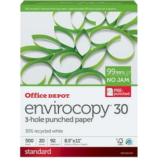 3-Hole Punched Multi-Use Printer & Copier Paper, Letter Size (8 1/2 x  11), 5000 Total Sheets, 92 (U.S.) Brightness, 20 Lb, White, 500 Sheets Per  Ream, Case Of 10 Reams