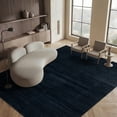 thumbnail image 5 of SAFAVIEH Vision Adrasteia Overdyed Solid Area Rug, Black, 2'2" x 4' - Modern Design, Black, Non-Shedding & Easy Cleaning, Ideal for Living Room, Bedroom, Dining Space, Entryway, Bathroom, Bedside, 5 of 16