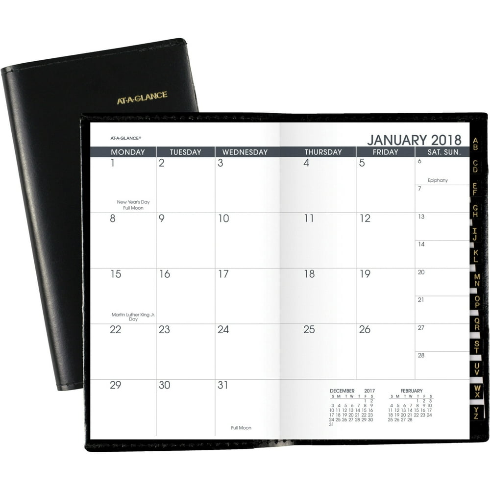 at-a-glance-deluxe-wirebound-pocket-planner-refill-two-pages-per