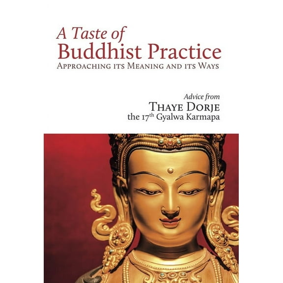 A Taste of Buddhist Practice: Approaching Its Meaning and Its Ways, (Paperback)