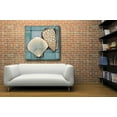 thumbnail image 4 of Epic Art 'Seashell Sketch I' by Tim O'Toole, Acrylic Glass Wall Art, 36"x36", 4 of 6