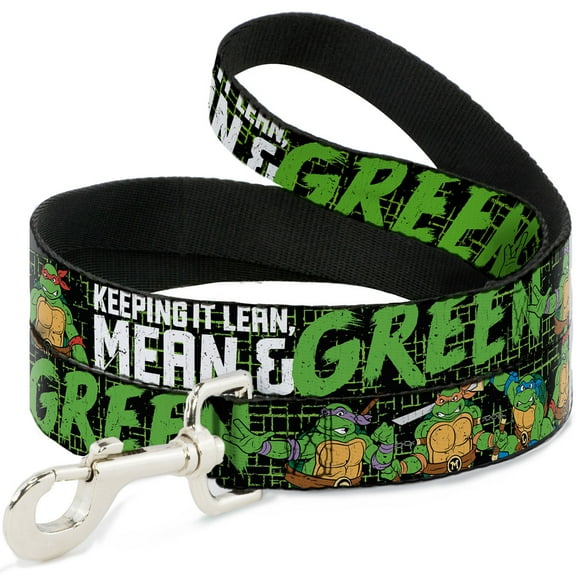 Nickelodeon Pet Leash, Dog Leash, TMNT Pose Keeping It Lean Mean Green Black Green White, 6 Feet Long 1.0 Inch Wide