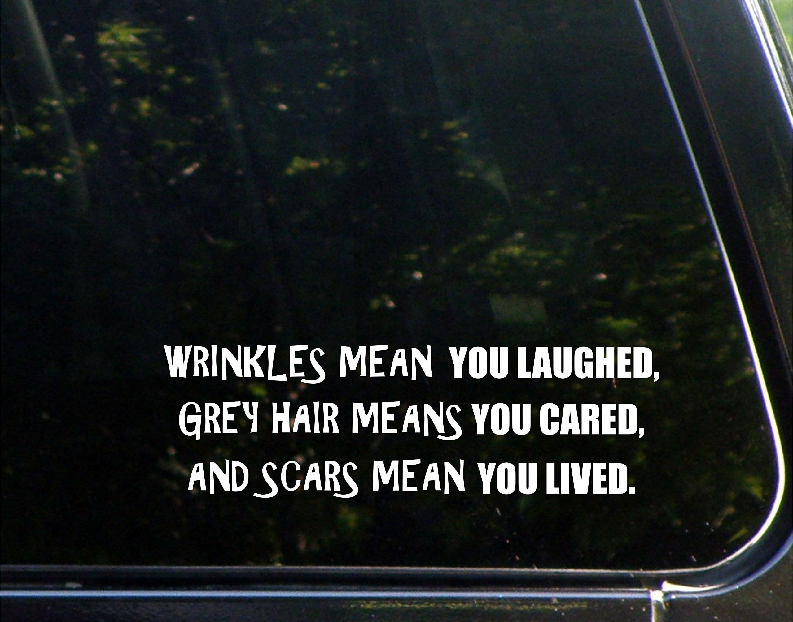 Wrinkles Mean You Laughed Gray Hair Means You Cared And Scars Mean You