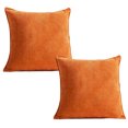 thumbnail image 1 of Paquete de 2 fundas de almohada de 18 x 18 pulgadas, fundas de almohada de chenilla suave para sofá, sala de estar, sofá, fundas teñidas sólidas, 1 of 5