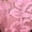 Red1, variant on Women's PantiesWomen LacePanties Underwear String Thongs Lingerie Breathable Thong Traceless Panties