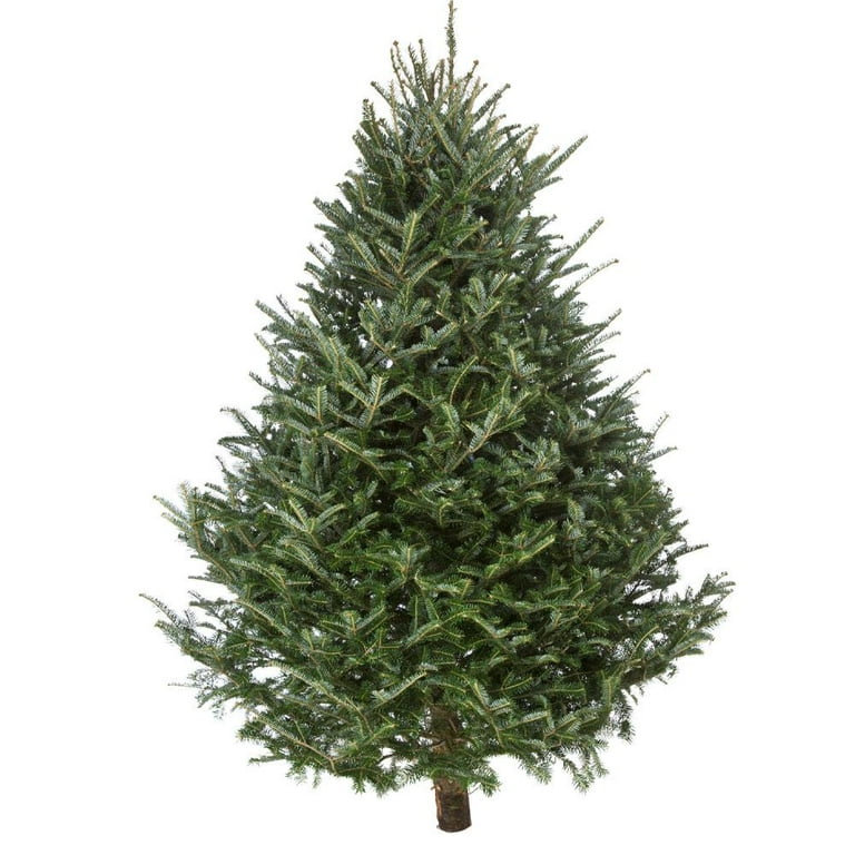 Walmart real christmas trees deals