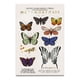 thumbnail image 1 of Sombras Yuya metamorfosis 27 g, 1 of 3