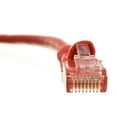 thumbnail image 4 of Cat6 Ethernet Cable, 24AWG, RJ45 Gold Plate Connector, ETL, 4 Pair Stranded Copper, Snagless Mold Boot Unshielded Twisted Pair (UTP) Internet Network Patch Cable, 100 Foot, Red, CableWholesale, 4 of 7