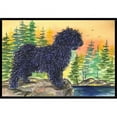 thumbnail image 1 of Carolines Treasures SS8347JMAT Puli Paillasson - 24 x 36 Po., 1 of 4