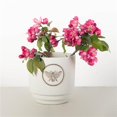 thumbnail image 1 of Grey Washed Bee Crest Planter, 1 of 1