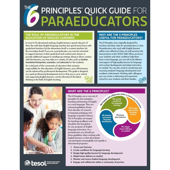 The 6 Principles: The 6 Principles Quick Guide for Paraeducators: Pack of 5 (Paperback)