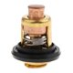 thumbnail image 1 of Termostato para barco 50  degree de refrigeración del enfriador del motor marino para - dorado 4S 2.5 Baoblaze Termostato externo para barco, 1 of 7