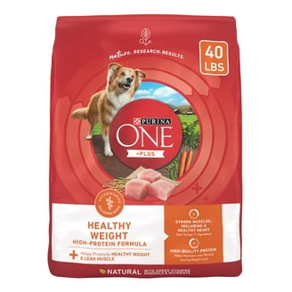 Purina ONE Skin & Coat Dog Food with Natural Salmon 16.5lb for