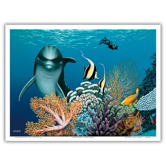 Coral Garden - Hawaiian Dolphin (Nai’a) - From an Original Color Painting by Mark Mackay - Master Art Print (Unframed) 9in x 12in
