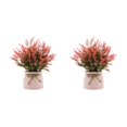 thumbnail image 4 of Plantas en macetas falsas Cateissary Decoración para el hogar Rojo 2Conjunto, 4 of 6