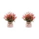 thumbnail image 1 of Bewildely Plantas en macetas falsas, maceta de escritorio Artificial, maceta de lavanda de imitación, bonsái de plástico, decoración de Rojo 2piezas, 1 of 6