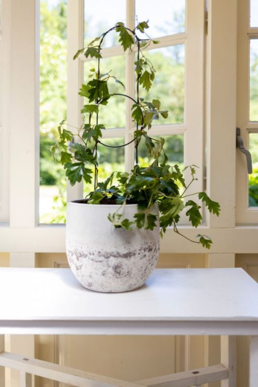Pot Trellis Deco Sm & Med Set – Stylish & Sturdy Support for Potted Plants