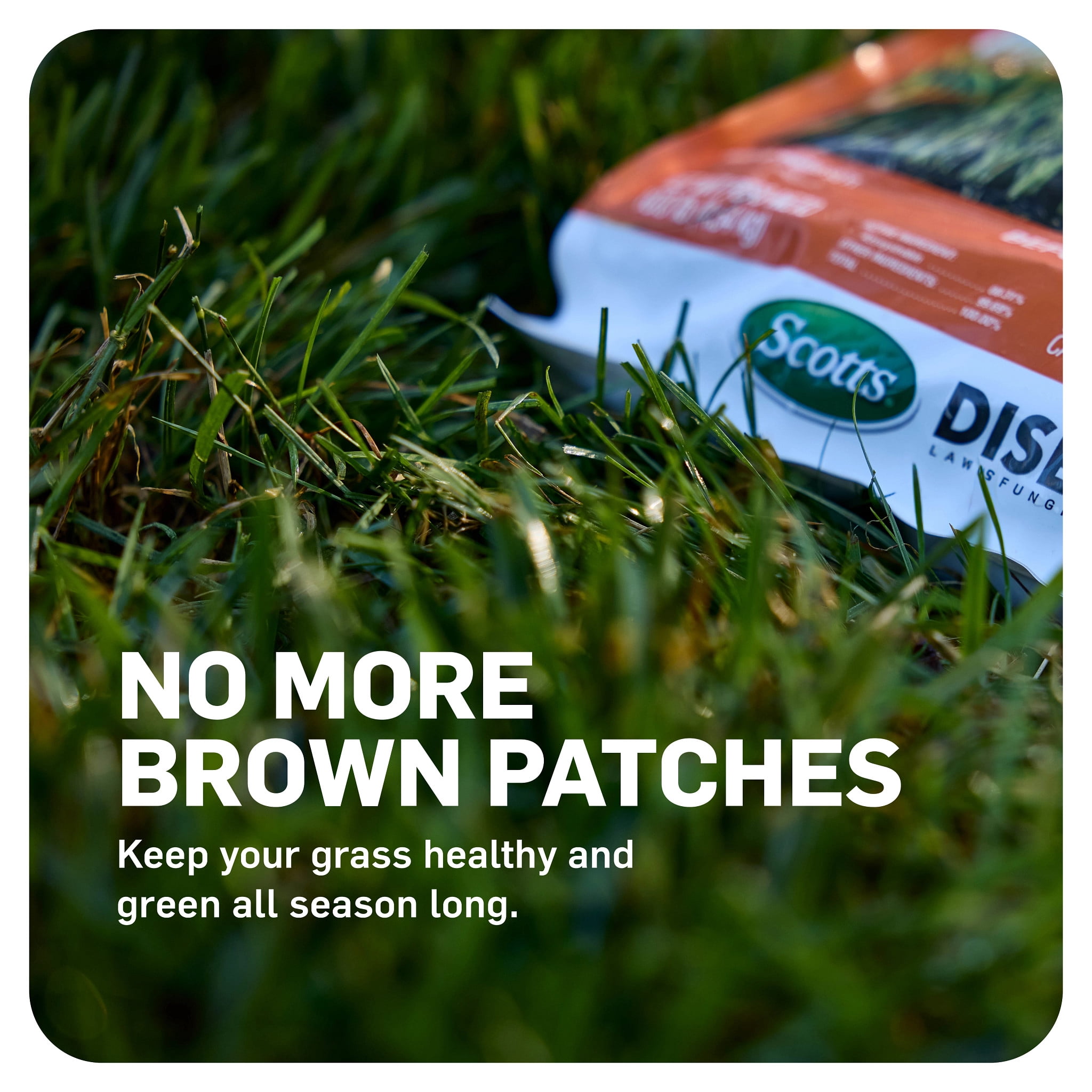 Scotts DiseaseEx Lawn Fungicide for Brown Patch and Pythium Blight, 10 lbs.