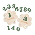 thumbnail image 3 of BELOVING Baby Monthly Milestone Cards Sign Gift Keepsake Memories Unique Double Sided Green, 3 of 9
