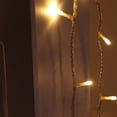 thumbnail image 4 of 10m 100LED LED String, LED Light String, For Bar Holiday Lighting Engineering Decoration ANGGREK Otros, 4 of 8