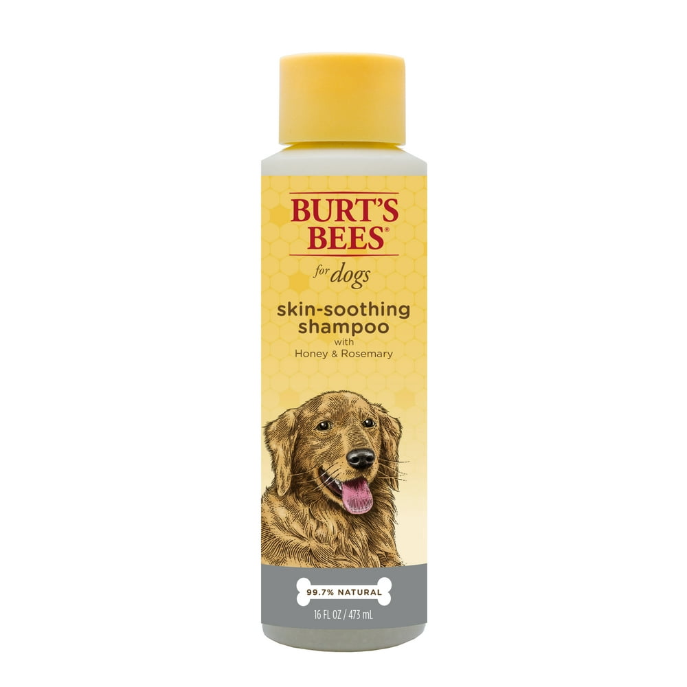 Burt's Bee SkinSoothing Dog Shampoo with Honey and Rosemary, 16 Oz.