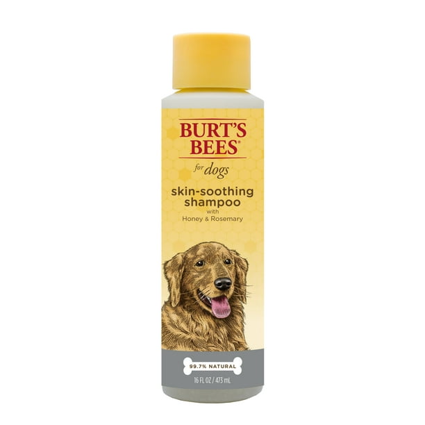 Burt's Bee SkinSoothing Dog Shampoo with Honey and Rosemary, 16 Oz