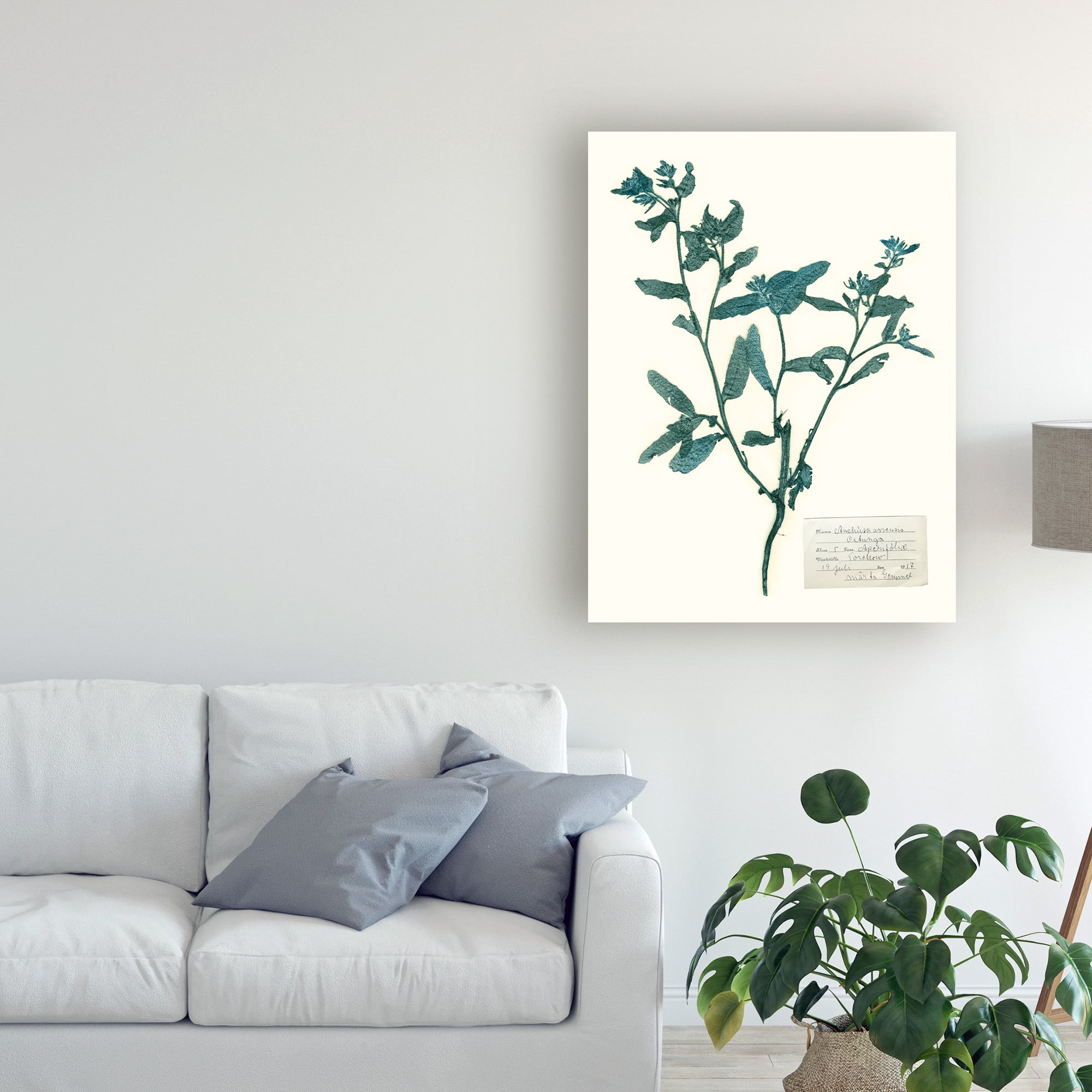 Trademark Fine Art 'Pressed Flowers in Spa III' Canvas Art by Vision Studio