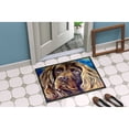 thumbnail image 4 of Carolines Treasures 7402JMAT Boykin Spaniel Doormat 24x36 36"L x 24"W multicolor, 4 of 4