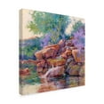 thumbnail image 2 of Trademark Fine Art 'Desert Stream' Canvas Art by Julie G. Pollard, 2 of 4