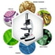 thumbnail image 5 of Microscopio AmScope 120X-1200X para principiantes con kit STEM de 52 piezas, 5 of 8