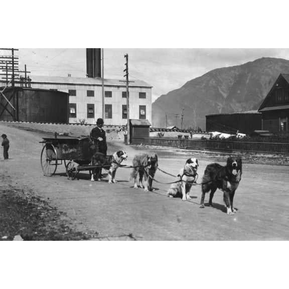 Print: Dog Team Used To Deliver Laundry, circa 1900