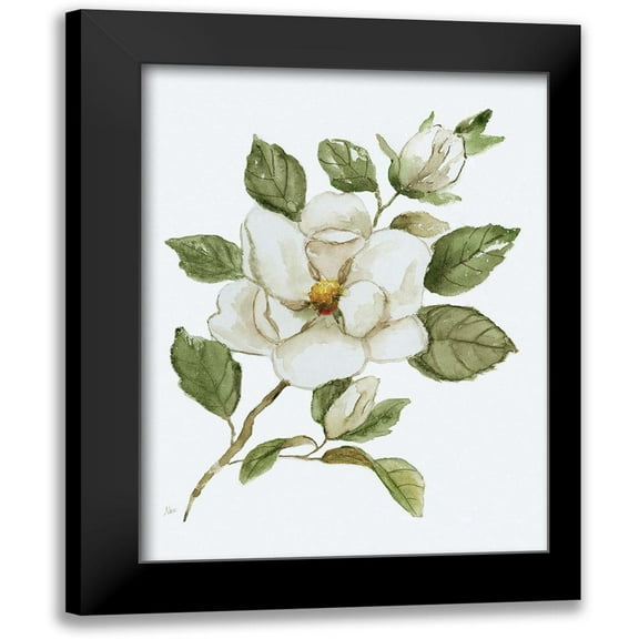 Nan 12x14 Black Modern Framed Museum Art Print Titled - Magnolia Morning I