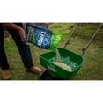 thumbnail image 3 of Scotts Turf Builder Quick + Thick Grass Seed Sun - Shade 1.2kg, 3 of 5