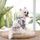 thumbnail image 2 of Nvzi Camiseta para perro y gato, camisetas transpirables para mascotas, sudadera para cachorro, ropa para perro, abrigos para perros pequeños, medianos y gatos, L, A05, 2 of 4