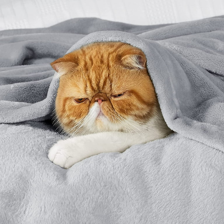  Rtizon Fuzzy Blanket for Bed, 50x60, Grey Fluffy