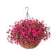 thumbnail image 3 of Flores artificiales colgantes en cesta con forro de coco para jardín y césped. Rosa, 3 of 9