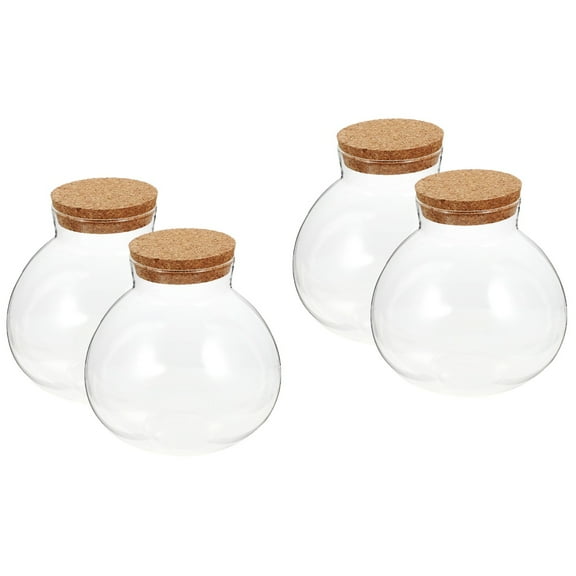 2 PCS Eco Bottle Mason Jars Plant Terrarium Flower Pot Vases Indoor
