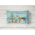 thumbnail image 2 of Carolines Treasures BB9250PW1216 Anglo-nubian Nubian Goat Christmas Canvas Fabric Decorative Pillow, Teal, 12H x16W,, 2 of 3