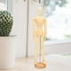 thumbnail image 3 of Modelo de Cuerpo Humano, Artista Suave Manikin 17.3 Pulgadas Juntas Ajustables de Madera para Dibujar, 3 of 7