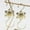 Gold, variant on Txlpkdyx Snowflake Wall Hooks,10pcs Decorative Metal Wreath Hangers for Door & Wall,Festive Coat & Stocking Holder,Vintage Home Decor for Entryway & Living Room