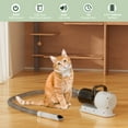 thumbnail image 4 of 5 In 1 Pet Grooming Kit Vacuum Suction Professional Pet Hair Clipper,1.5L Grooming Tools for Dogs Cats Pets,Dog Vacuum Brush for Shedding Grooming, 4 of 9