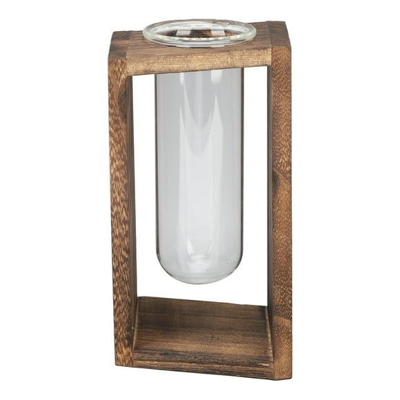 Terrarium de bureau pour plantes hydroponiques - Tube à essai en verre - Multifonction et innovant - Fabriqué à la main - Terrarium pour plantes hydroponiques - Barbecue au carbone